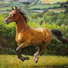 Схема вышивки «Конь»