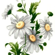 Схема вышивки «Ромашки»