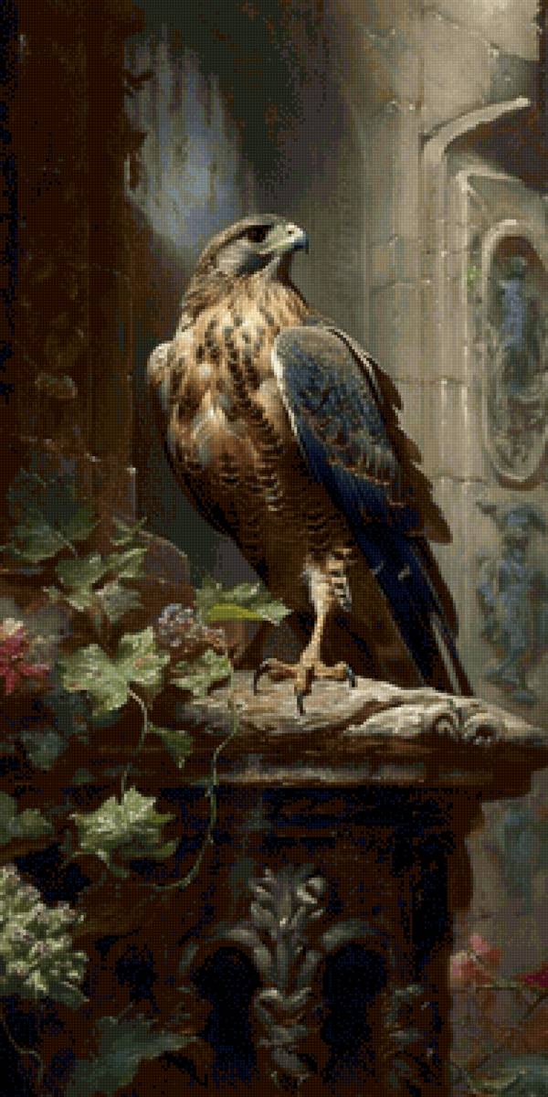 Птица Ястреб - птица ястреб - предпросмотр