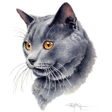 Схема вышивки «Кот»