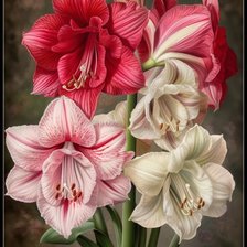 Схема вышивки «Цветы»