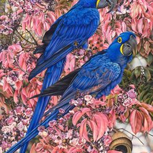 Схема вышивки «Синие попугаи»