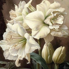 Схема вышивки «лилии»