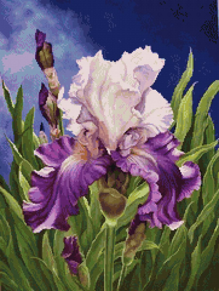 №2757214 - ирисы, до 240 крестиков - предпросмотр