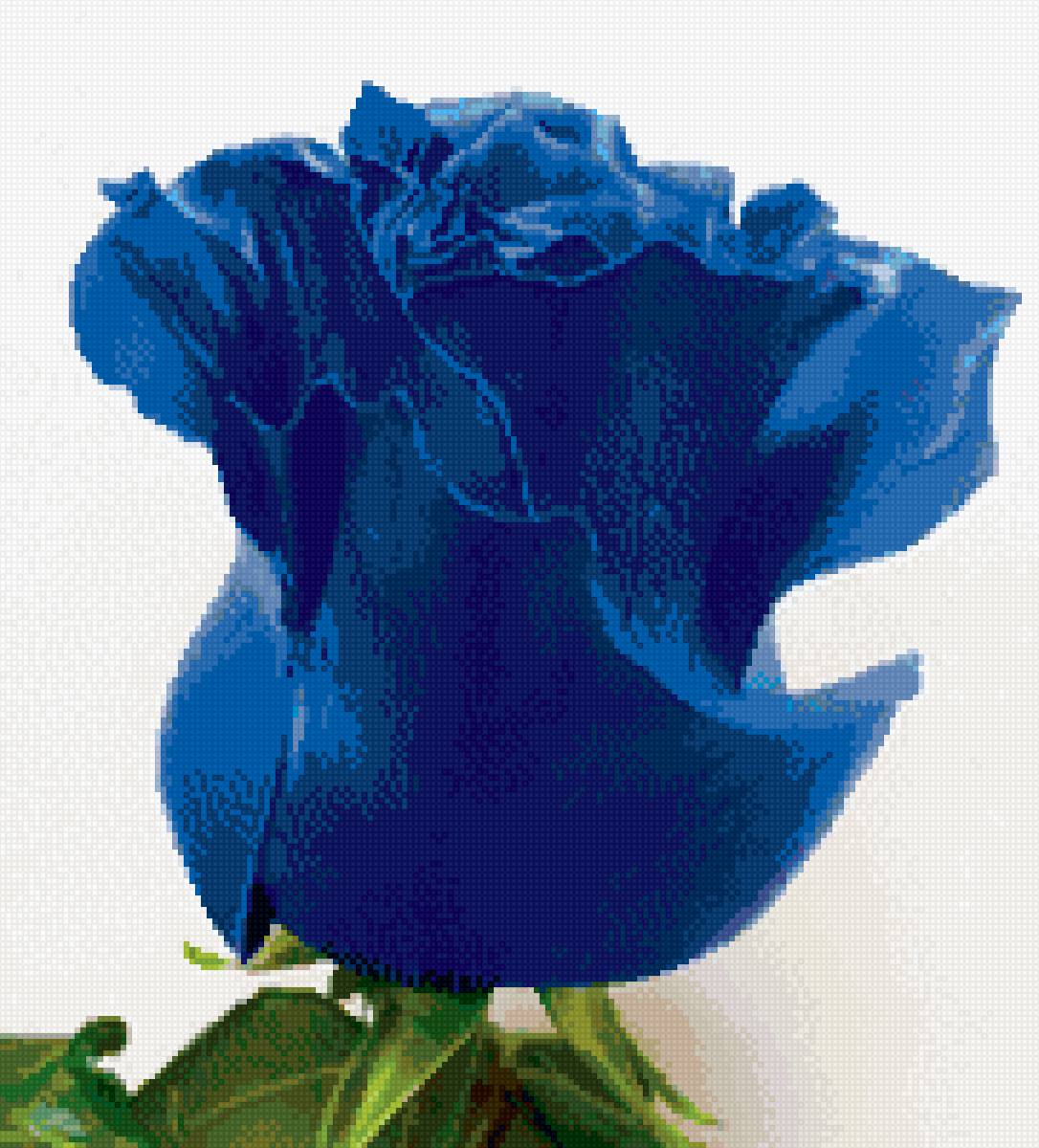 Синяя роза - предпросмотр