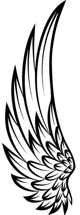 Крыло - оригинал