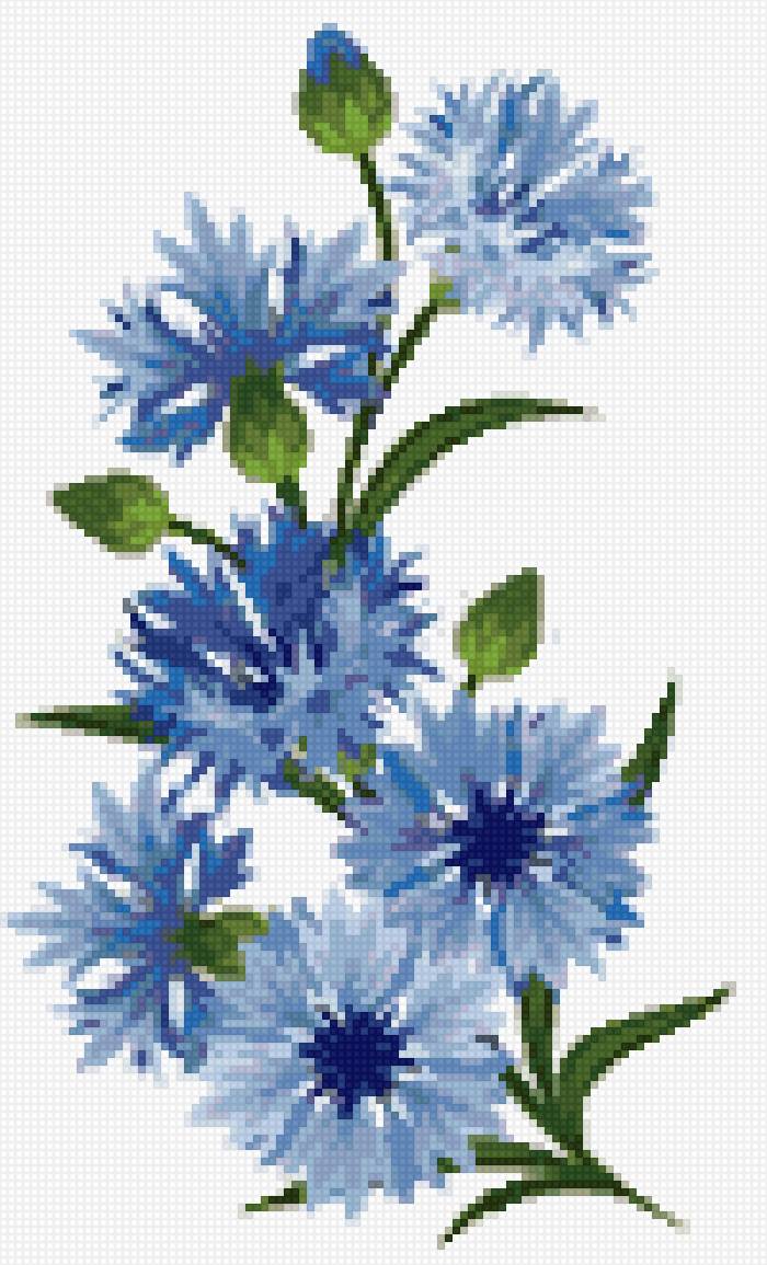 Васильки - предпросмотр