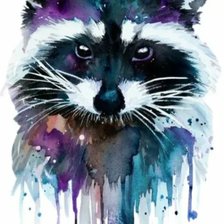 Схема вышивки «Енот»