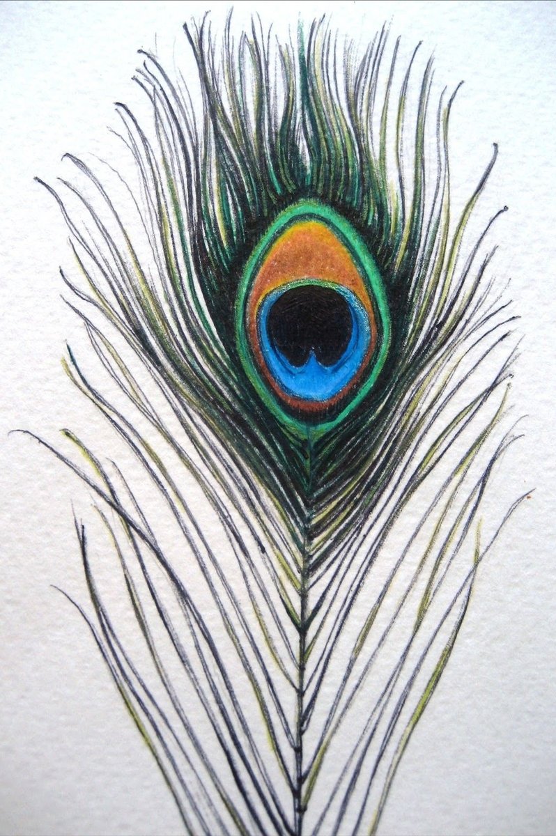 Перо павлина - оригинал