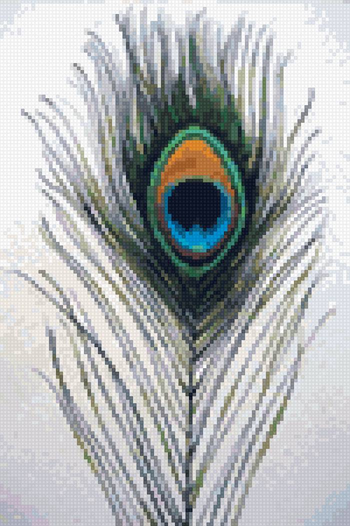 Перо павлина - предпросмотр