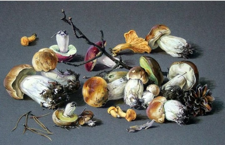 грибочки - оригинал