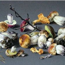 Схема вышивки «грибочки»