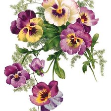 Схема вышивки «анютки»