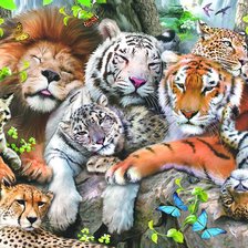 Схема вышивки «Милота»