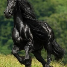 Схема вышивки «Caballo Negro»