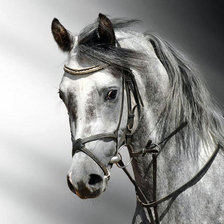 Схема вышивки «№2758780»