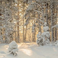 Схема вышивки «№2758874»