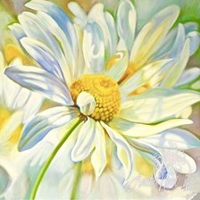 Схема вышивки «подушка»