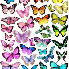 Схема вышивки «Бабочки»