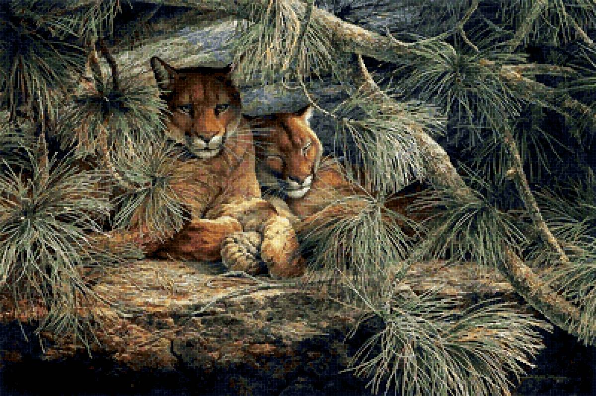 №2759490 - пумы, дикие, животные - предпросмотр