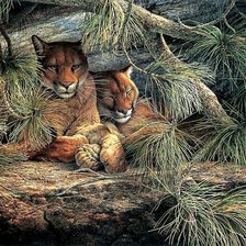 Схема вышивки «№2759490»