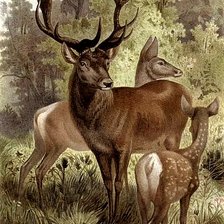 Схема вышивки «№2759491»