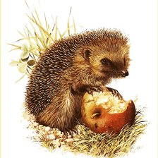 Схема вышивки «№2759495»