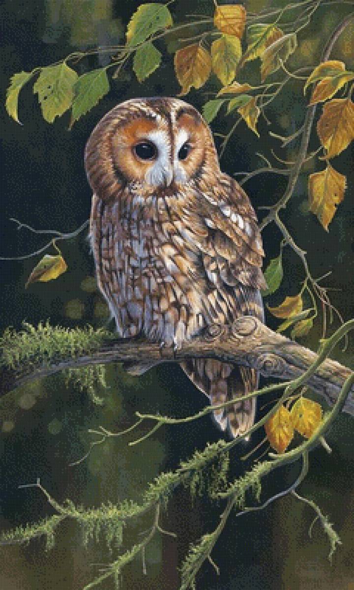 Сова. Карл Брендерс - художники - предпросмотр