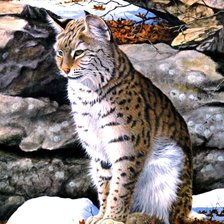 Схема вышивки «рысь»