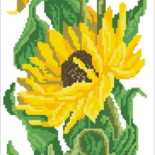 Схема вышивки «Подсолнух»