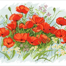 Схема вышивки «Маки»