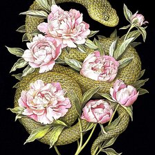 Змея и пионы