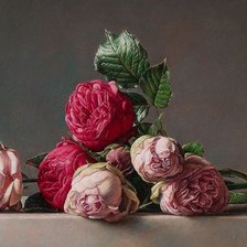 Схема вышивки «розы 2»