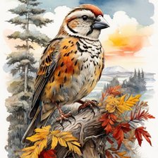 Схема вышивки «птица»