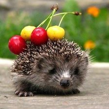 Схема вышивки «№2761330»