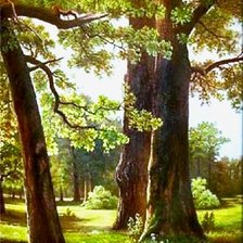 Схема вышивки «Три дуба»