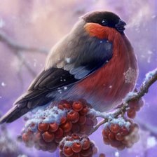 Схема вышивки «снегирь»