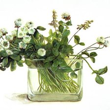 Схема вышивки «Клевер_фуджико»