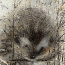 Схема вышивки «Просто ёжик»