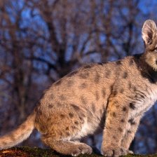 Схема вышивки «№2762150»