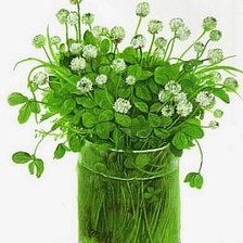 Схема вышивки «№2762313»