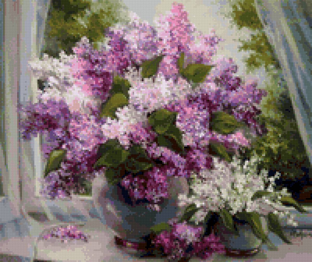 сирень - сирень - предпросмотр