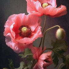 Схема вышивки «Маки»