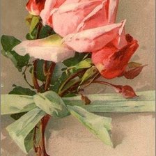 Схема вышивки «Роза (Катарина Кляйн)»