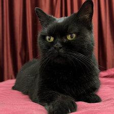 Схема вышивки «масюнечка»