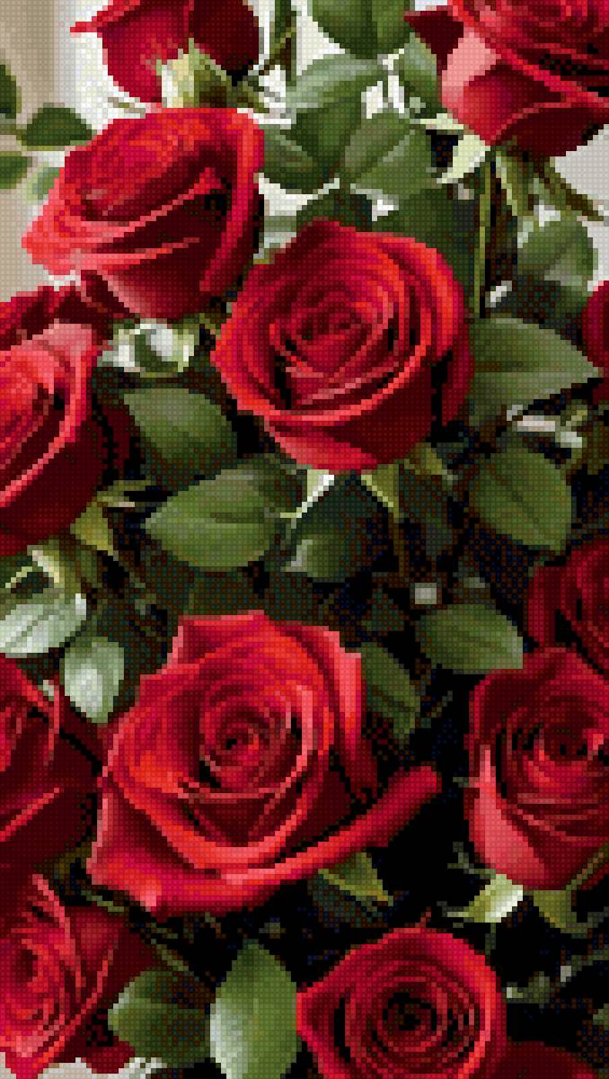 №2763544 - красные, цветы, розы - предпросмотр