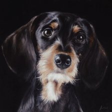 Схема вышивки «№2763837»