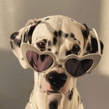 Схема вышивки «Долматинец»