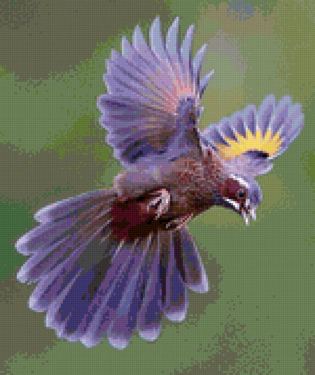 полет - полет, птица - предпросмотр