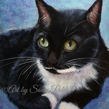 Схема вышивки «кошка»